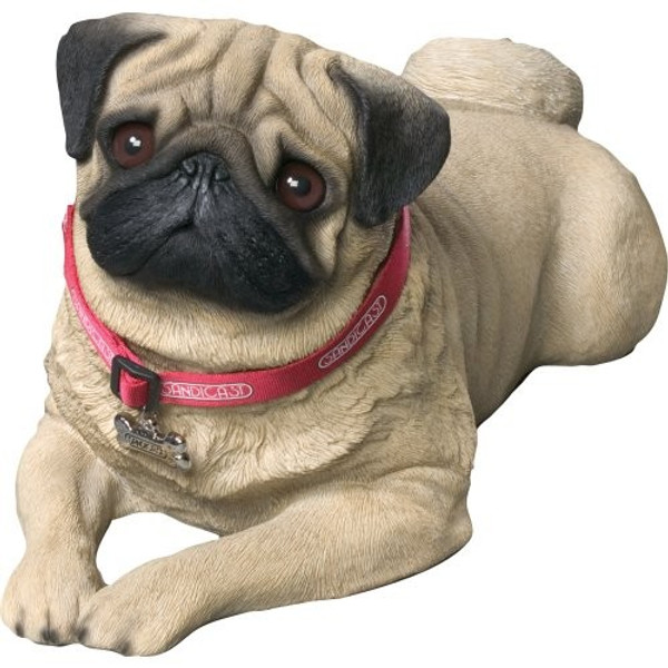 Sandicast Life Size Fawn Lying Pug Sculpture - LS416