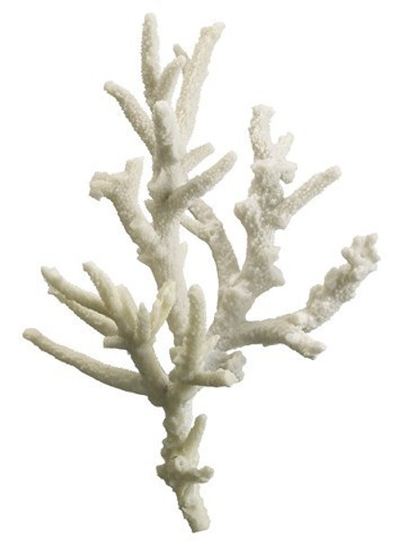13" Finger Coral White 2 Pieces AA0322-WH