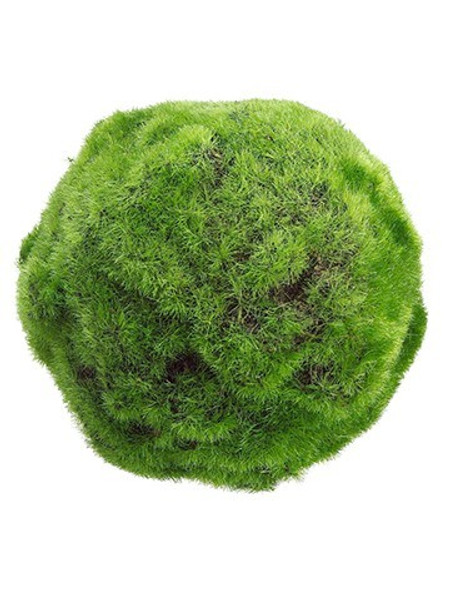 5" Moss Ball Green 6 Pieces AA1110-GR