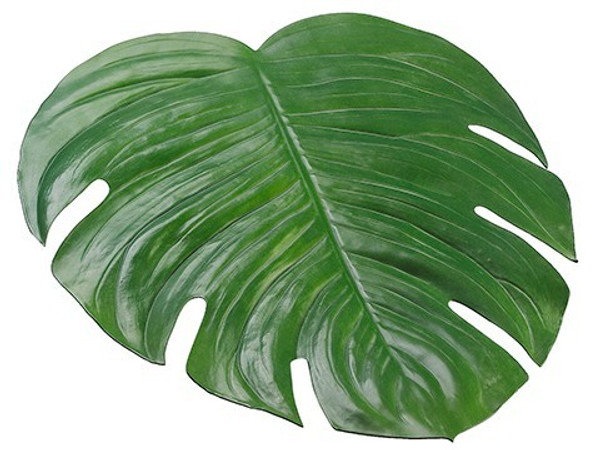 18"W X 16.5"L Monstera Placemat Green 12 Pieces AA8810-GR
