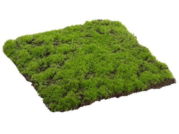 12"W X 12"L Square Moss Sheet Green 6 Pieces AAM492-GR