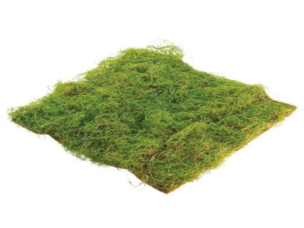 14"W X 14"L Square Water Sphagnum Moss Sheet Green 12 Pieces AAM655-GR