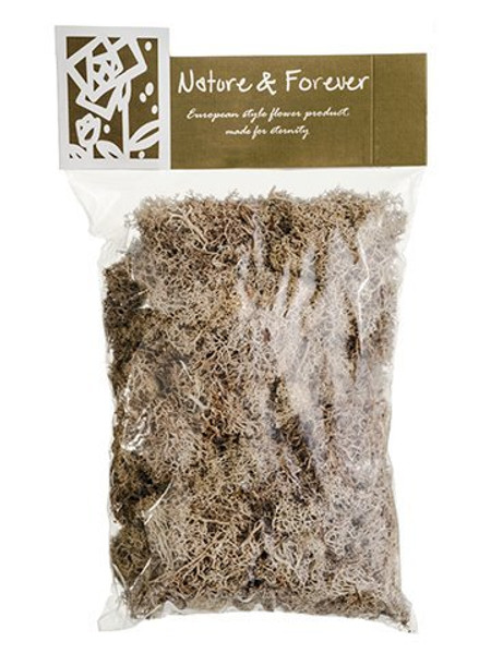 10.5" Assorted Preserved Reindeer Moss In Bag (170 Grams/Bag) Natural Beige 6 Pieces APS080-NA/BE