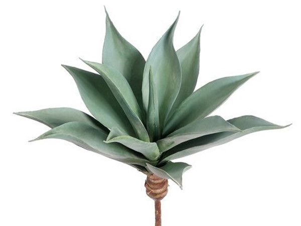 17" Agave Frosted Green 2 Pieces CA2011-GR/FS