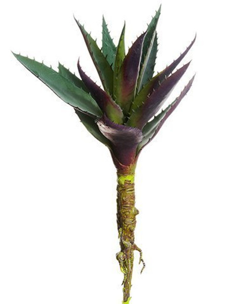 13" Soft Pe Agave Pick Green Purple 6 Pieces CA9511-GR/PU