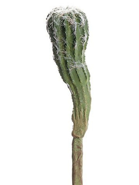 8" Cactus Green 24 Pieces CC1080-GR