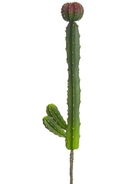 12.5" Peruvian Cactus Pick Burgundy Green 12 Pieces CC1821-BU/GR