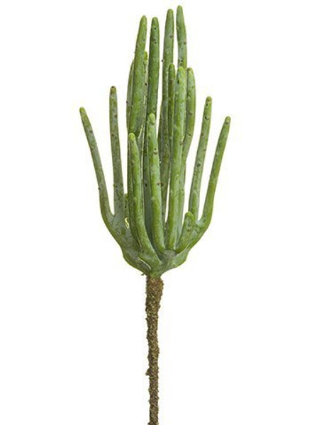 10" Stick Cactus Pick Green Gray 12 Pieces CC1824-GR/GY