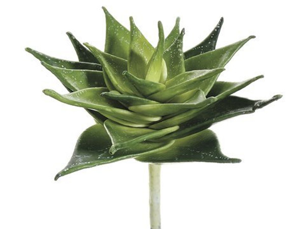 8" Agave Plant Two Tone Green 6 Pieces CS4455-GR/TT