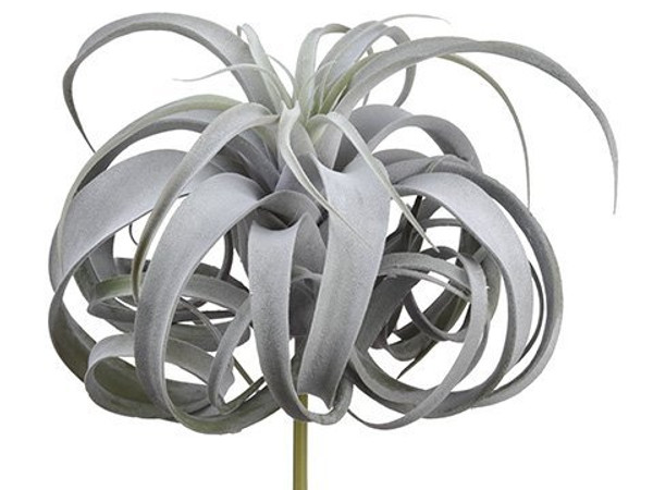 12" Tillandsia Pick With 24 Leaves Green Gray 4 Pieces CT6849-GR/GY