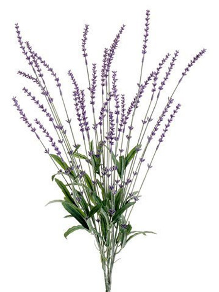 23" Lavender Bush Lavender 12 Pieces FBL135-LV