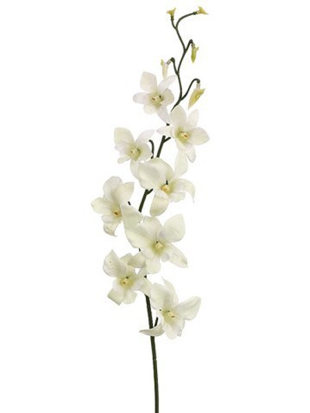 30" Dendrobium Orchid Spray X1 With 8 Flowers And 5 Buds Cream White 12 Pieces FO8232-CR/WH