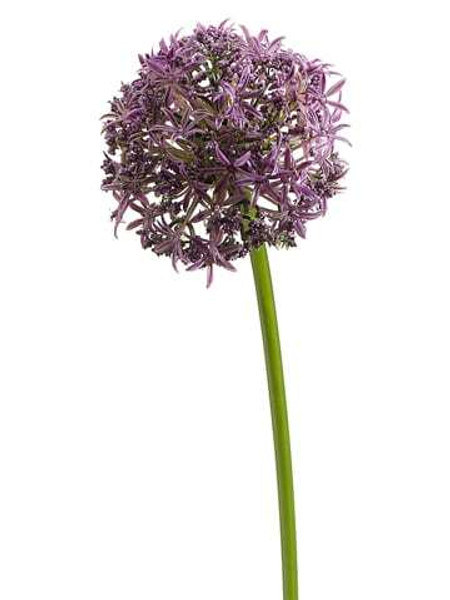 31" Allium Spray Lavender 12 Pieces FSA084-LV