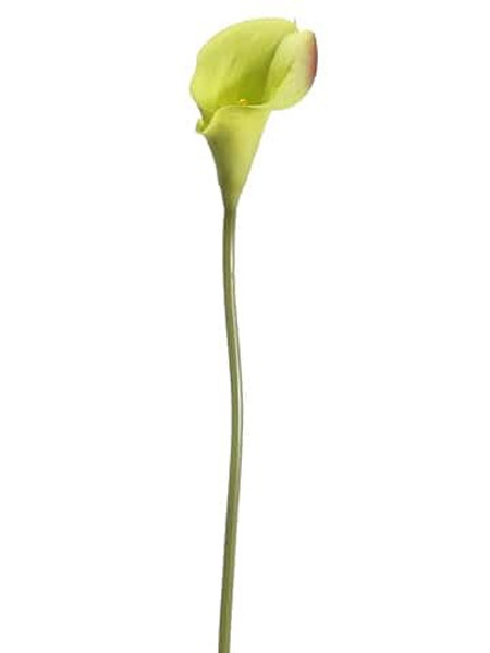 15" Mini Calla Lily Spray Green 12 Pieces FSL070-GR