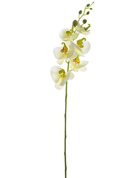 33" Phalaenopsis Orchid Spray Cream Yellow 12 Pieces FSO117-CR/YE