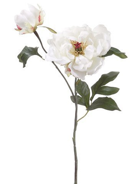 19.5" Peony Spray With Bud Cream 12 Pieces FSP708-CR