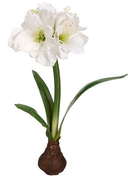 21" Standing Amaryllis With Bulb White 4 Pieces HSA424-WH