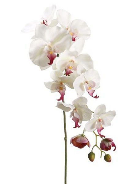 44.5" Phalaenopsis Orchid Spray With 9 Flowers And 3 Buds Cream Rubrum 6 Pieces HSO301-CR/RB