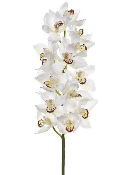 34" Cymbidium Orchid Spray Cream Burgundy 4 Pieces HSO580-CR/BU