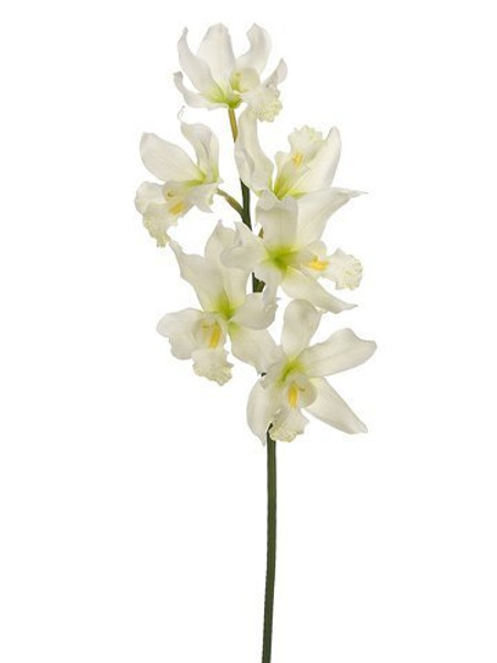 32" Cymbidium Orchid Spray White 6 Pieces HSO725-WH