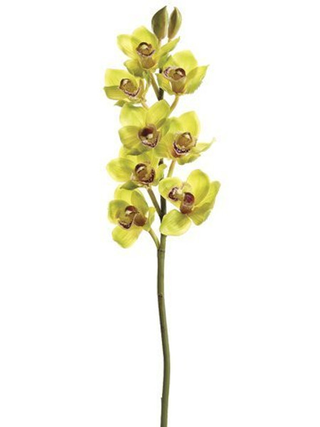 28" Cymbidium Orchid Spray Green Burgundy 6 Pieces JTO182-GR/BU