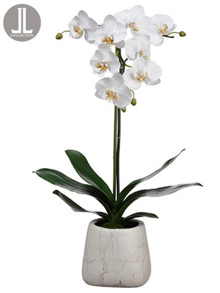 30" Phalaenopsis Orchid Plant In Marble Look Pot White LHO231-WH