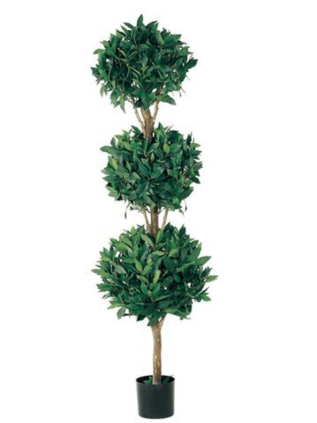 5' Triple Ball Sweet Bay Topiary In Pot  2 Pieces LPB315-
