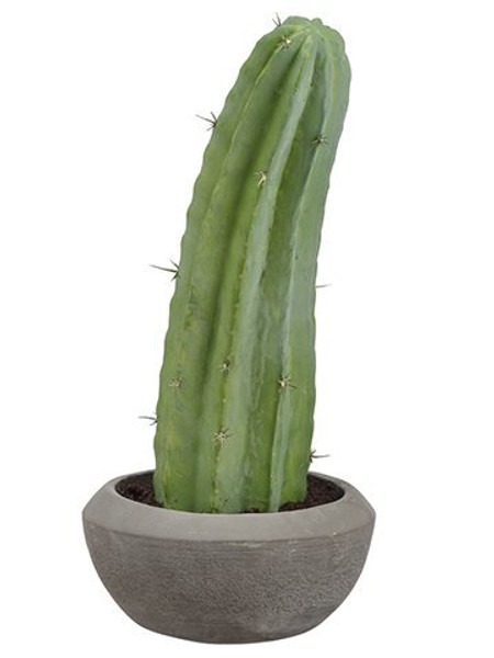 19" Column Cactus In Cement Pot Green LPC223-GR
