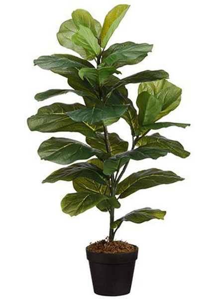 31.5" Fiddle Leaf Plant In Pot Green 6 Pieces LPF803-GR