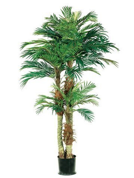 6' Phoenix Palm Tree In Round Pot Green 2 Pieces LPX801-GR