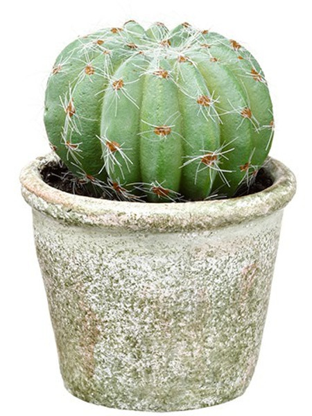 4.25" Barrel Cactus In Paper Mache Pot Green 12 Pieces LQB006-GR