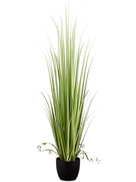 60" Reed Grass In Pot Light Green 2 Pieces LQG201-GR/LT
