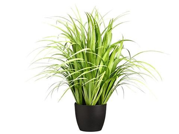 38" Reed Grass In Pot Light Green LQG211-GR/LT