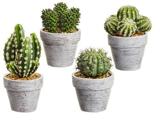 5-7.25" Cactus In Ceramic Pot (4 Styles/Set) Two Tone Green 2 Pieces LQS520-GR/TT