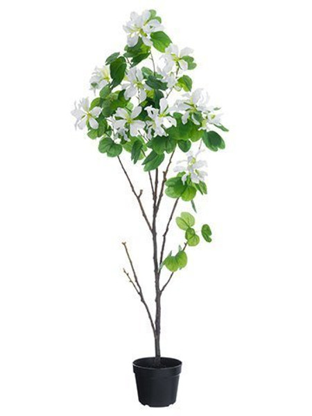 66" Bauhinia Tree In Plastic Pot White LTB140-WH
