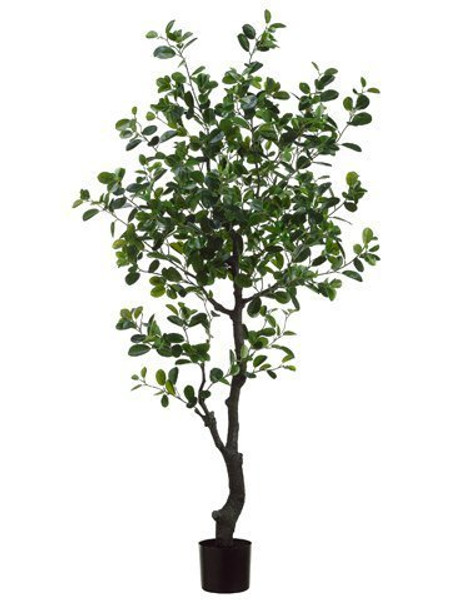 6' Eva Ficus Tree With 989 Leaves In Plastic Pot Green 2 Pieces LTF316-GR