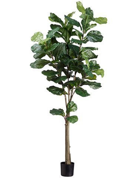 5' Fiddle Tree W/74 Lvs. In Plastic Pot Green 2 Pieces LTF435-GR