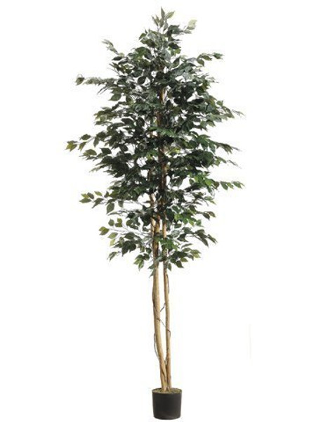 8' Ficus Tree W/1512 Leaves In Pot Green 2 Pieces LTF758-GR