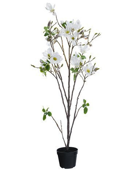 68" Magnolia Tree In Plastic Pot White LTM142-WH