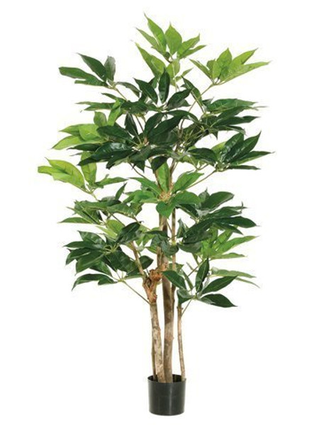 4' Schefflera Tree With 227 Leaves In Pot Green 2 Pieces LTS104-GR