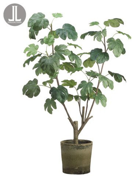 48" Fig Plant In Clay Pot Green LVF148-GR