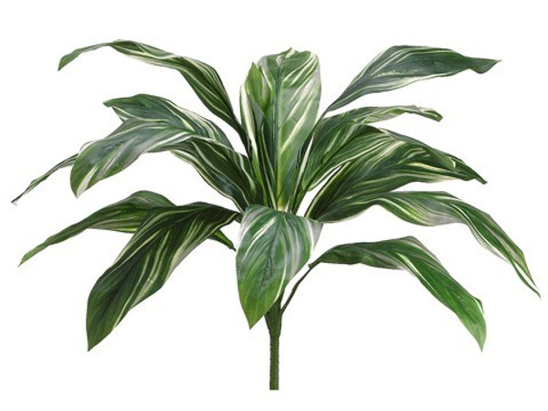 26" Cordyline Bush With 15 Leaves Green White 12 Pieces PBC128-GR/WH