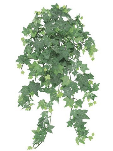 23" Mini English Ivy Hanging Bush W/295 Leaves Frosted Green 12 Pieces PBL652-GR/FS