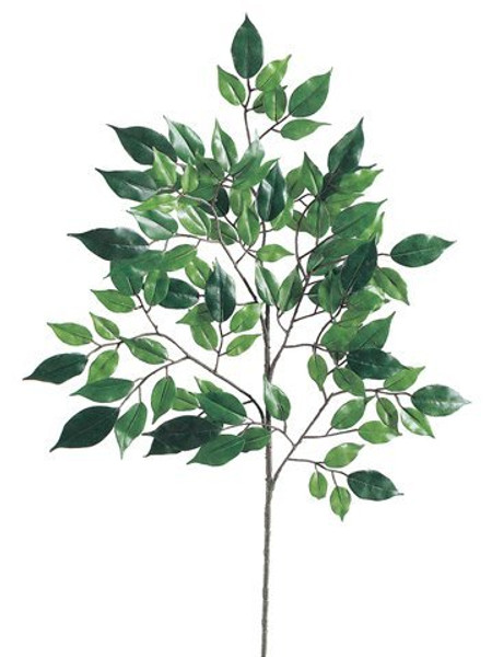 23" Nitida Ficus Spray X4 With 104 Leaves  12 Pieces PSF715-