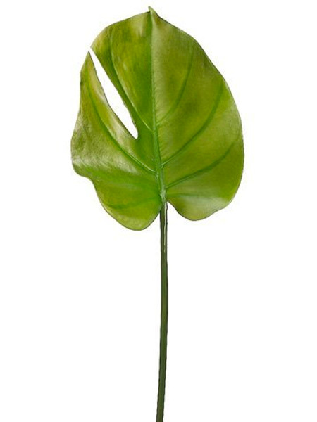 23.5" Small Split Philodendron Leaf Spray Green 12 Pieces PSL188-GR