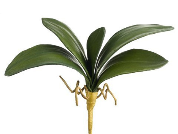 13" Phalaenopsis Orchid Leaf Spray X5 Green 12 Pieces QSL719-GR