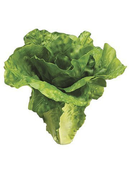 6" Lettuce Green 12 Pieces VZL032-GR