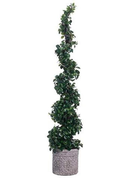 66" Citrus Leaf Spiral Topiary In Terra Cotta Planter Green WT4944-GR