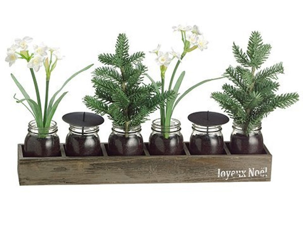 15" Narcissus/Pine Tree In Glass Vase X6 W/Wood Box White Green 2 Pieces XLF820-WH/GR