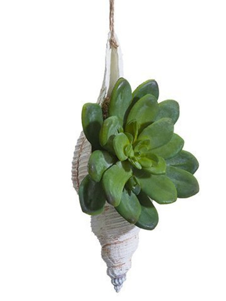 9" Echeveria Shell Ornament Green 6 Pieces XN0638-GR